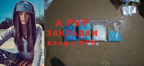 индика Алзамай
