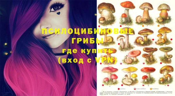 индика Алзамай