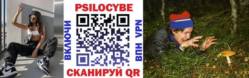 Псилоцибиновые грибы Psilocybine cubensis Октябрьский